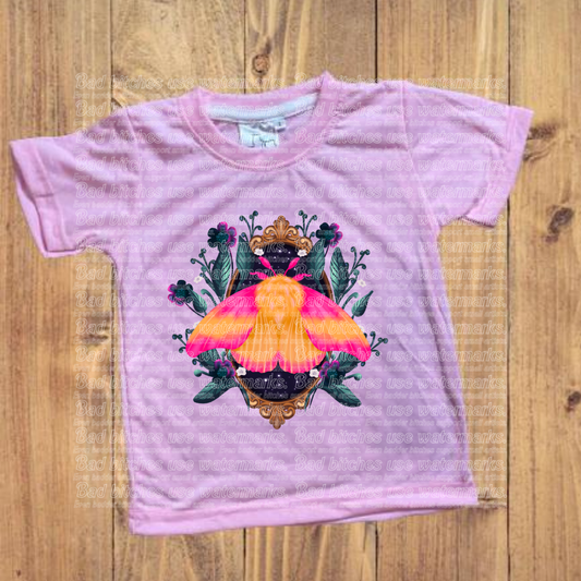 Framed Rosy Moth (S.C)