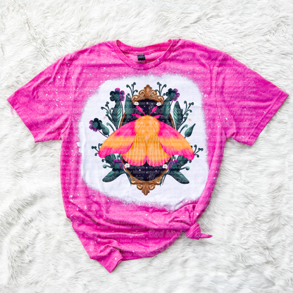 Framed Rosy Moth (B.T)