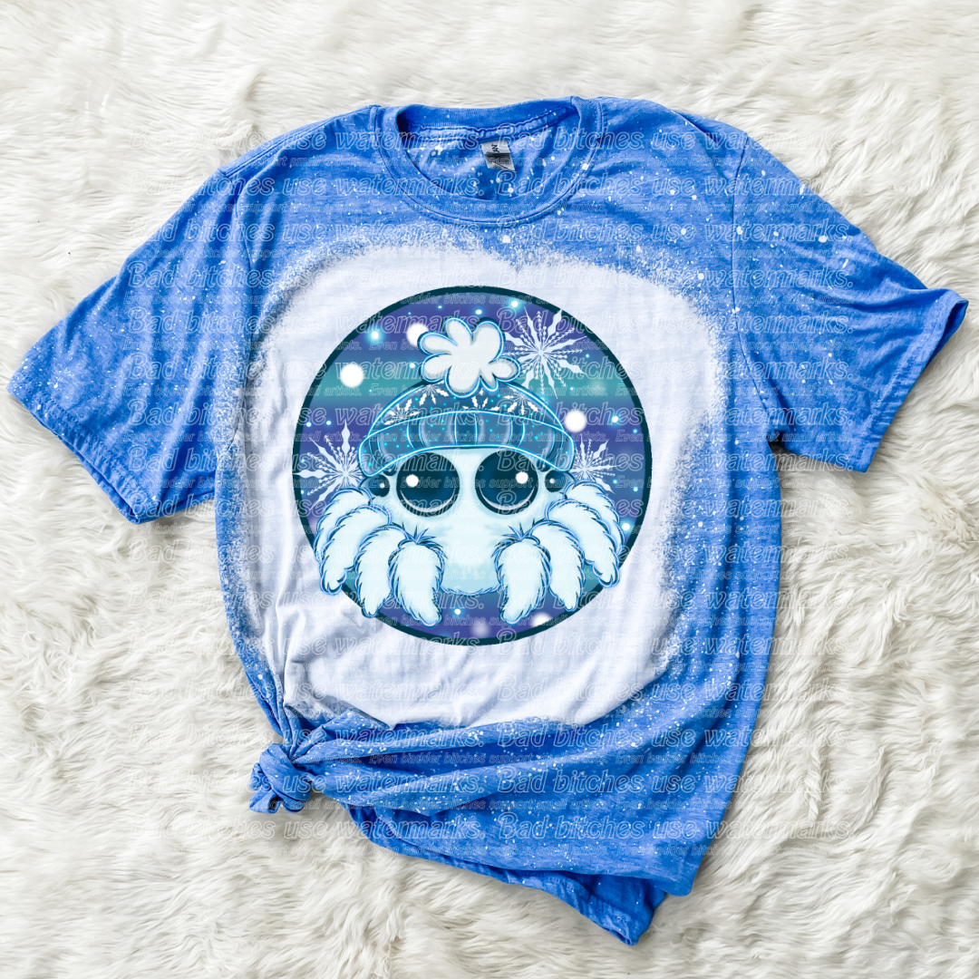 Winter Spider (B.T)