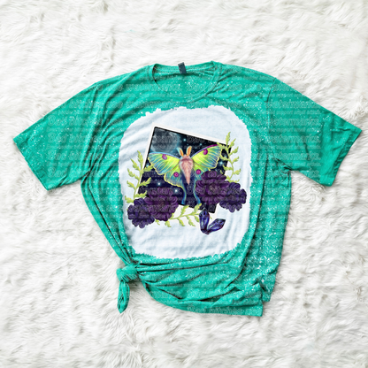 Luna Polaroid  (B.T)