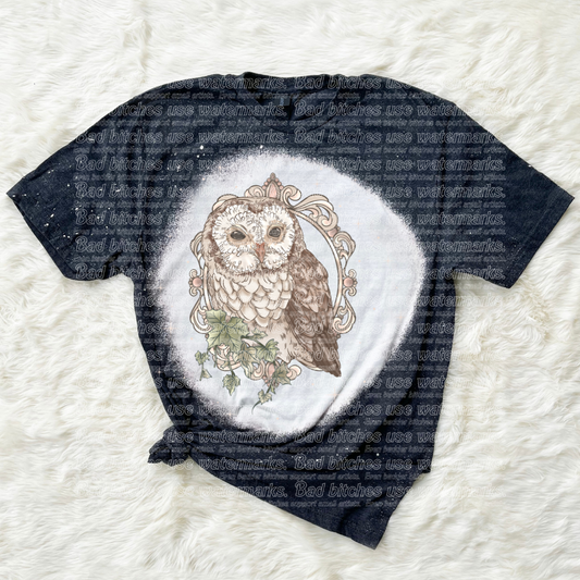 Snowy Owl (B.T)