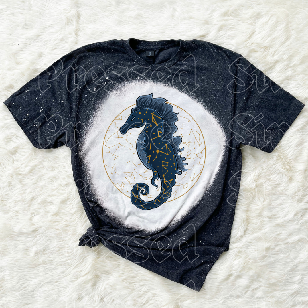 Celestial Seahorse (B.T)