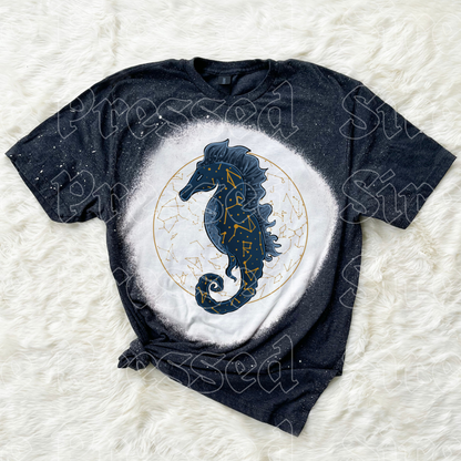 Celestial Seahorse (B.T)