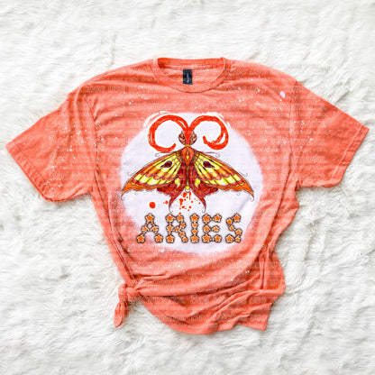 Aries Moth (B.T)