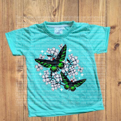 Swallowtail Butterfly (S.C)