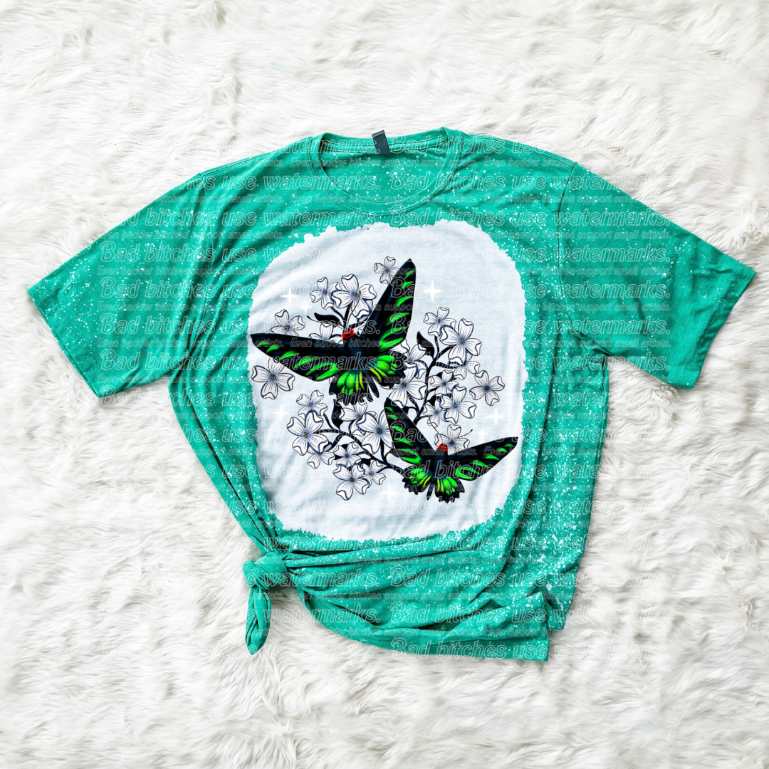 Swallowtail Butterfly (B.T)