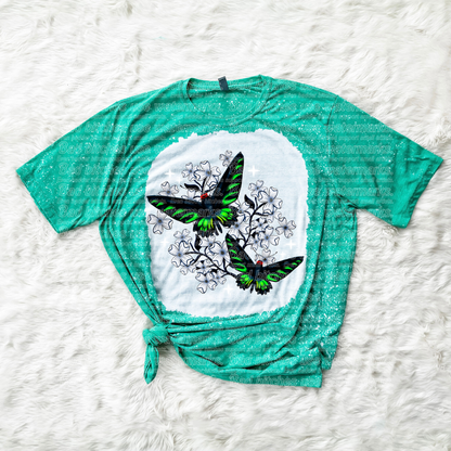 Swallowtail Butterfly (B.T)