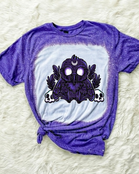 Little Raven (B.T)