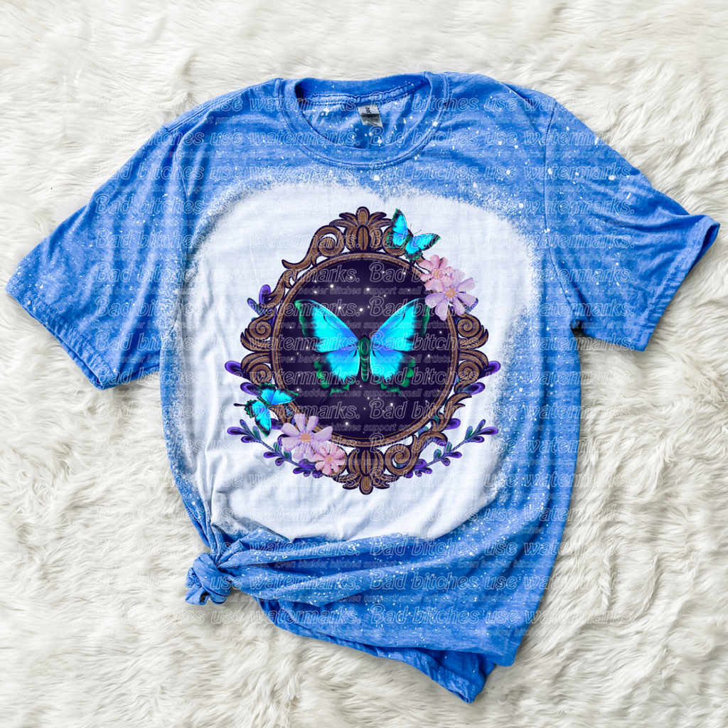 Framed Butterfly (B.T)