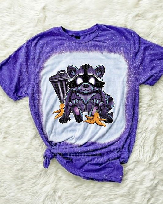Raccoon Baby (B.T)