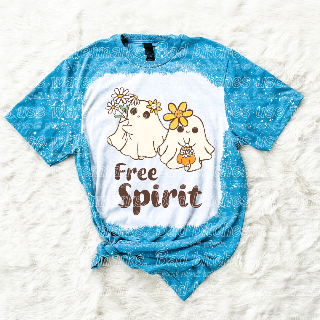 Free Spirit (B.T)